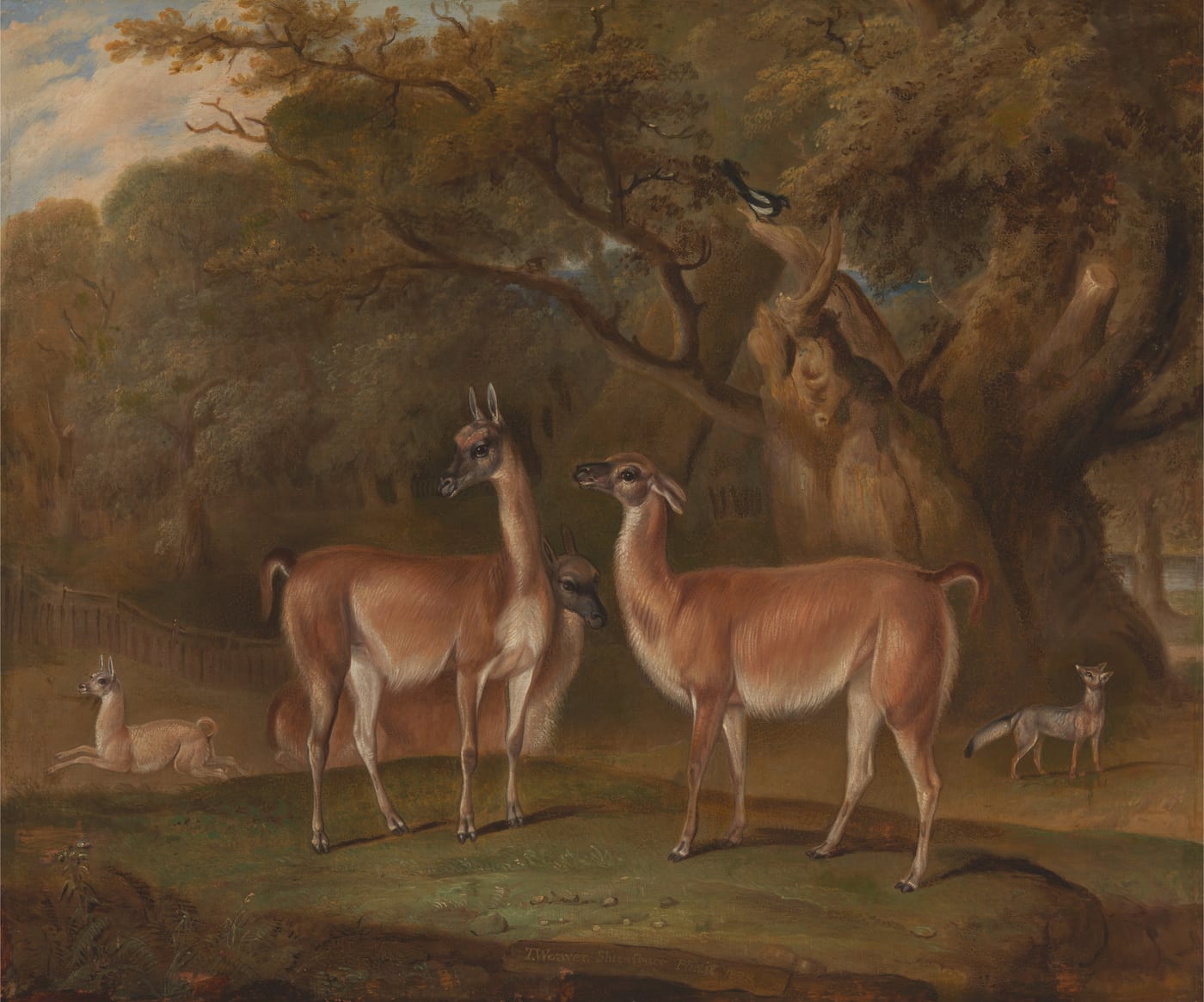 Oil painting of two llamas and a fox in a wooded landscape by Thomas Weaver, 1828.