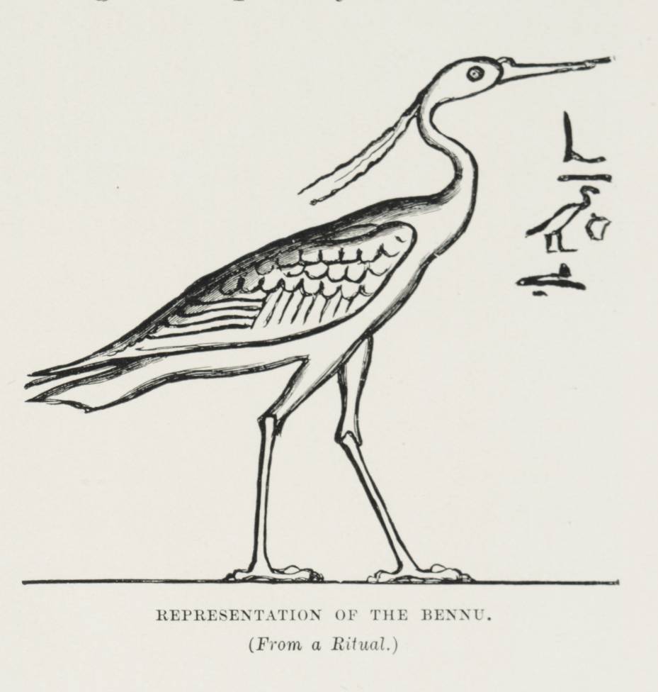 19th-century drawing of the Bennu, the ancient Egyptian heron-deity associated with the sun god Ra and the primordial creation at Heliopolis.