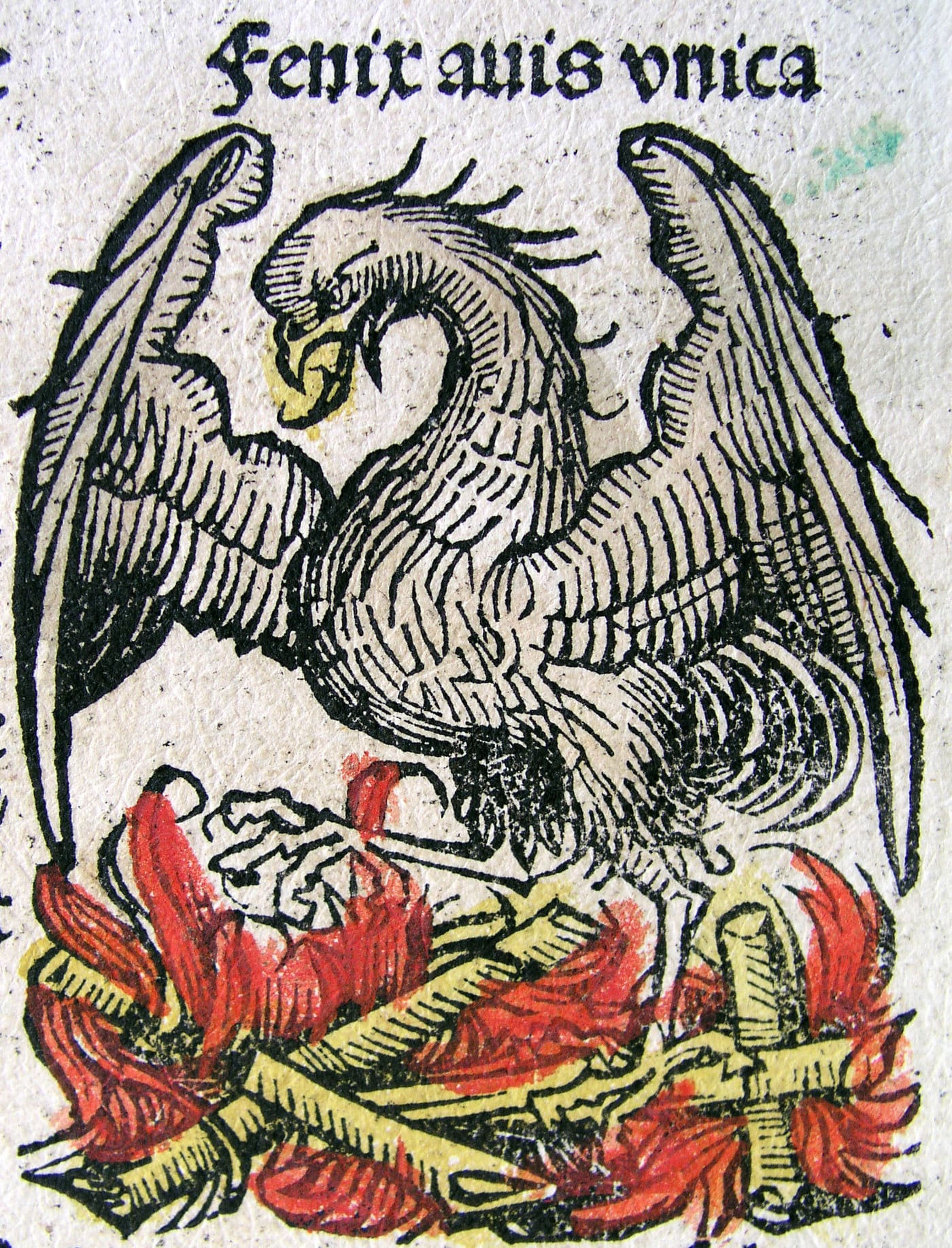 Woodcut illustration of the phoenix from the Nuremberg Chronicle (Liber Chronicarum), 1493.