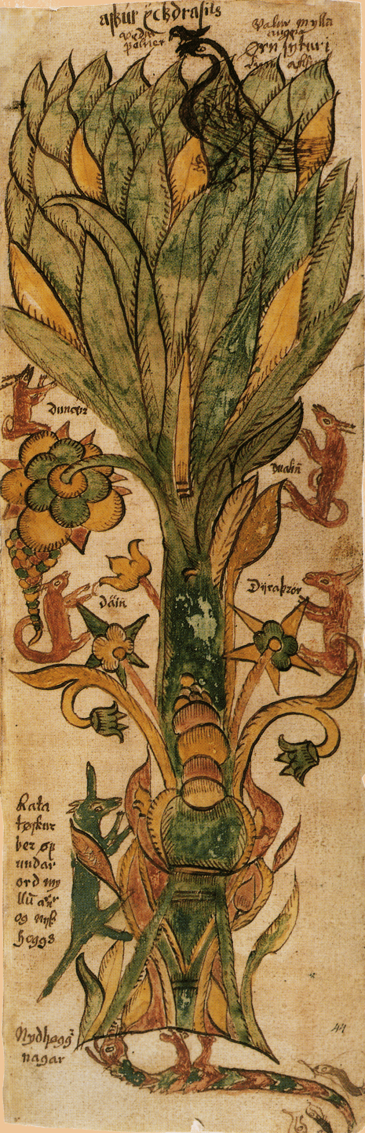 Illustration of Yggdrasil from the 17th-century Icelandic manuscript AM 738 4to, showing the serpent Níðhöggr at the roots and the rooster Gullinkambi near the crown.