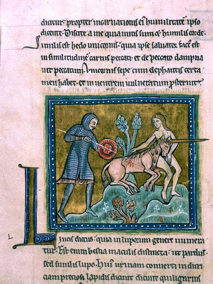 Illuminated bestiary illustration of the unicorn (monoceros), from the Rochester Bestiary, c. 1230 CE, British Library Royal MS 12 F XIII, showing a white unicorn with a single horn kneeling beside a young woman.