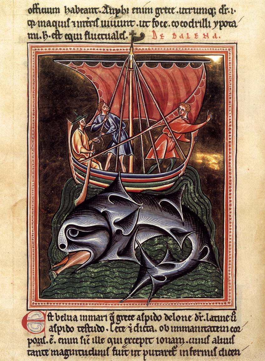 Medieval illuminated manuscript folio depicting whales from an English bestiary, circa 1190s.