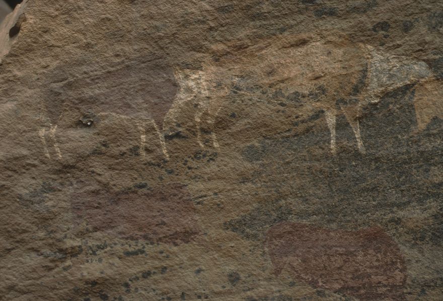 San (Bushman) rock art panel from the Drakensberg Mountains, KwaZulu-Natal, South Africa, approximately 1,000–2,000 years old, showing zebras in red ochre beside human figures and an eland, preserved at the Giant's Castle Game Reserve.