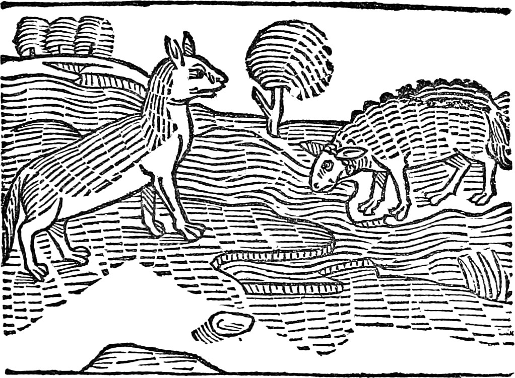 Woodcut illustration of the Wolf and the Lamb from William Caxton's Fables of Aesop, printed in Westminster, 1484, showing a standing wolf confronting a small lamb at a stream.