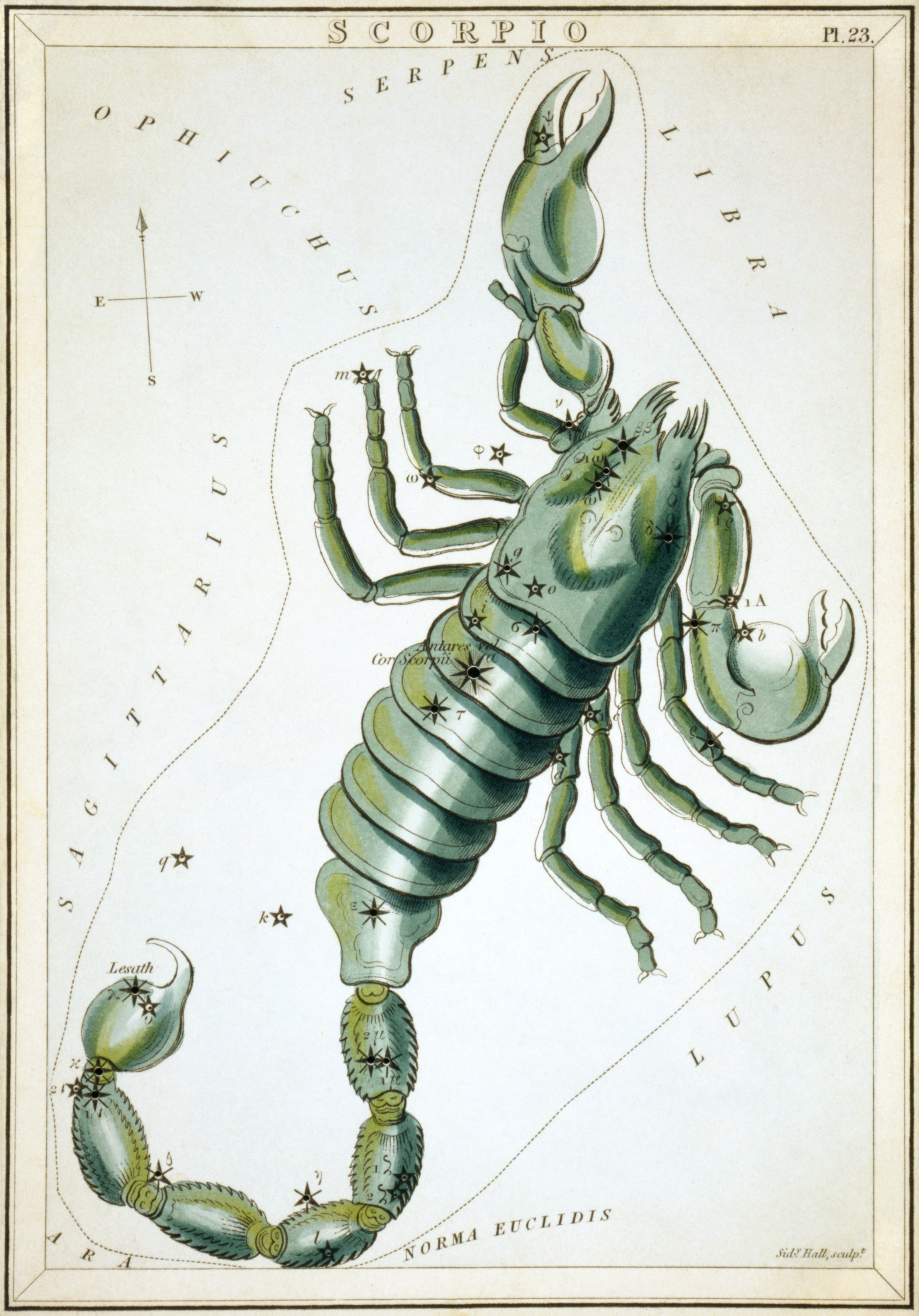 Hand-coloured copperplate engraving by Sidney Hall (c. 1825) showing the constellation Scorpio with the full scorpion figure, curved tail and stinger, and Antares marked as the heart of the scorpion, from Urania's Mirror.