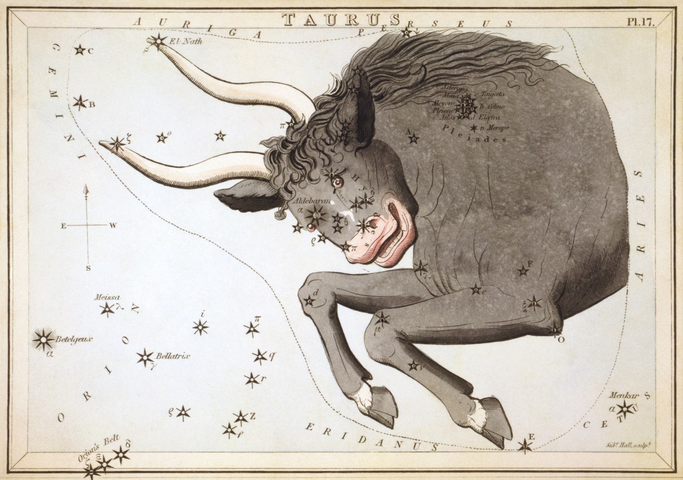 Taurus the Bull from Urania's Mirror, engraved by Sidney Hall, 1824, the Pleiades cluster marked on the bull's shoulder.